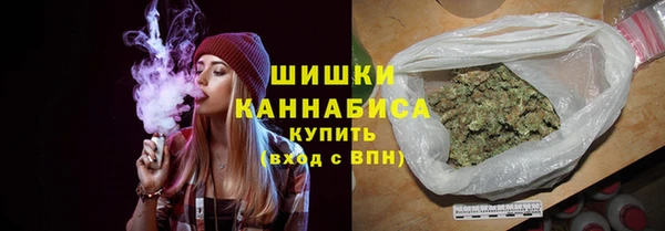 гидропоника Горняк