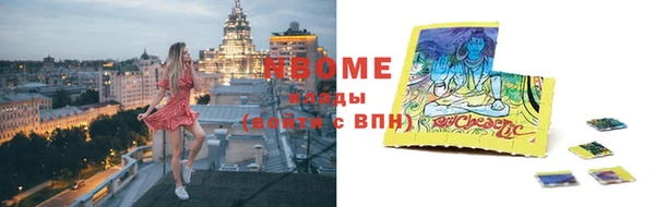 мдпв Вязьма